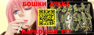 шишки Свободный