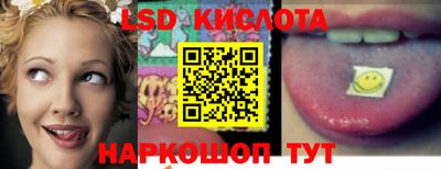 ГАЛЛЮЦИНОГЕННЫЕ ГРИБЫ Сланцы