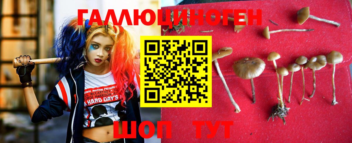 Псилоцибиновые грибы мухоморы Новоуральск